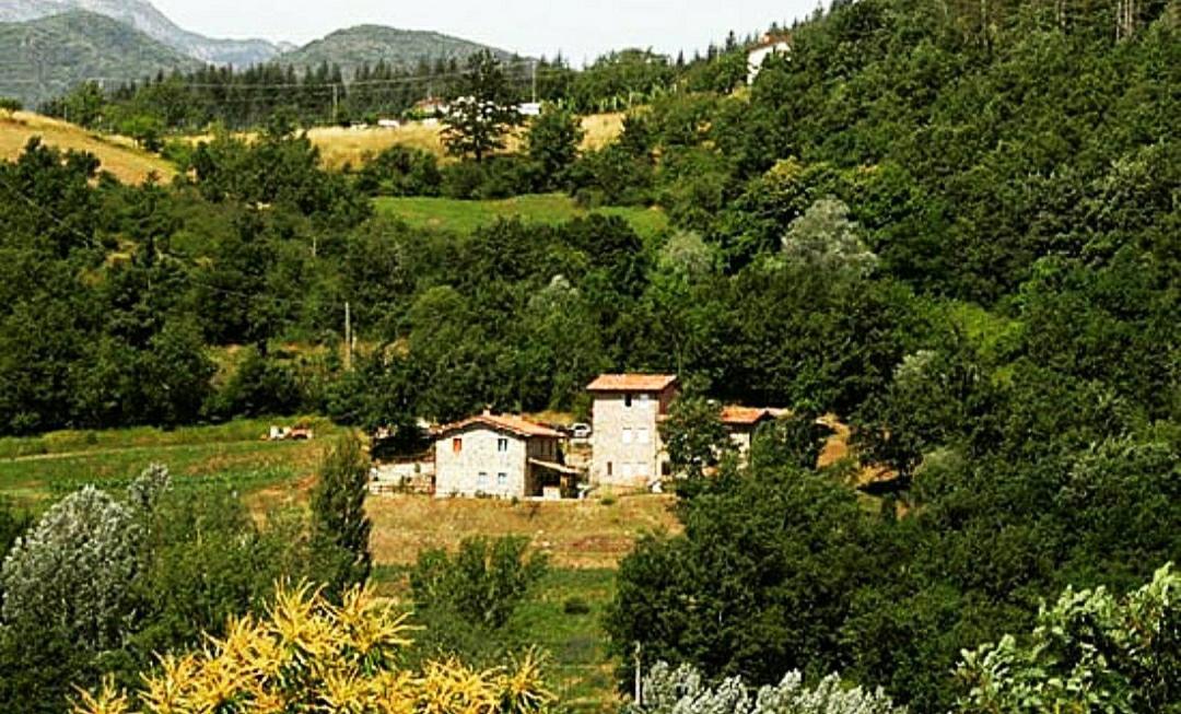 Agriturismo Paneolio Villa Collemandina Exterior photo